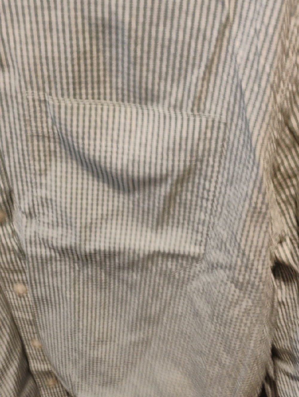 L.L. Bean Men's Light Green Gingham Button-Down Shirt - Picture 3 of 4